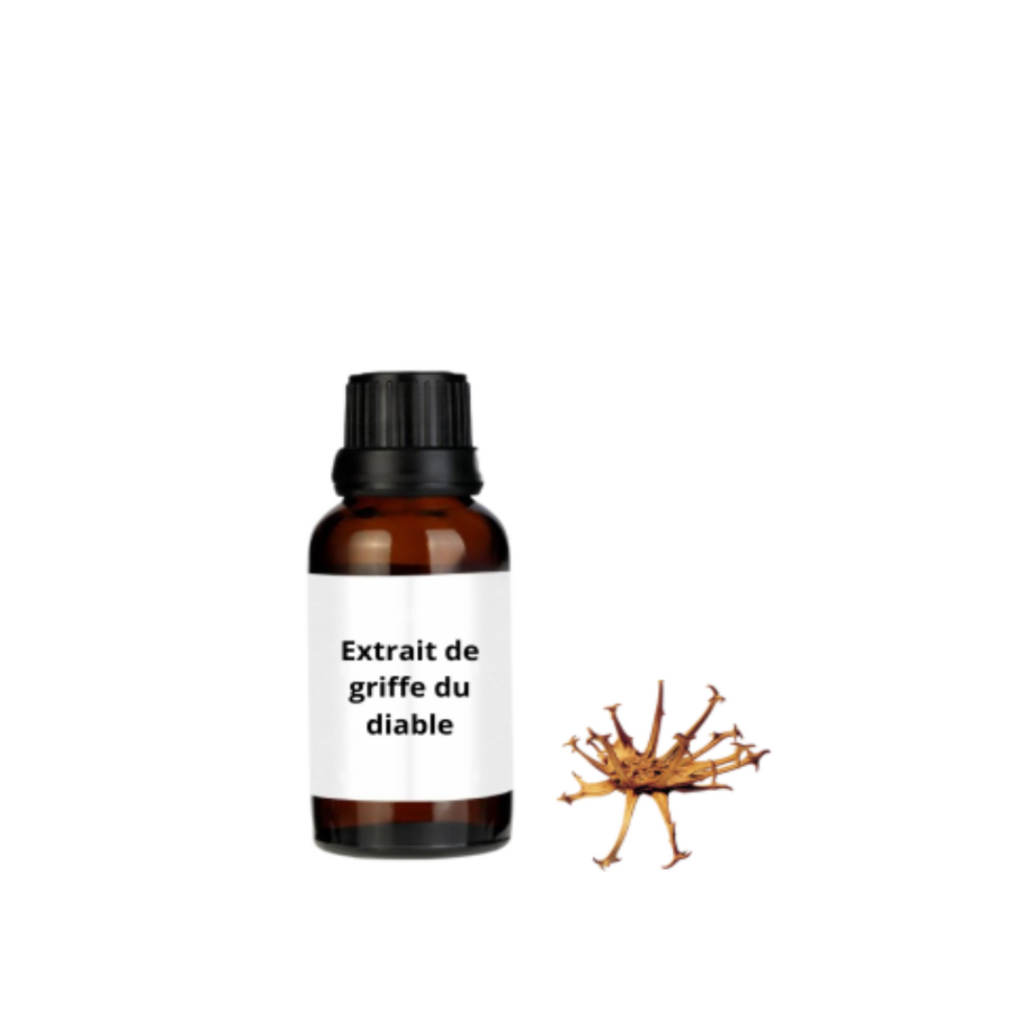 Extrait d’ Harpagophytum