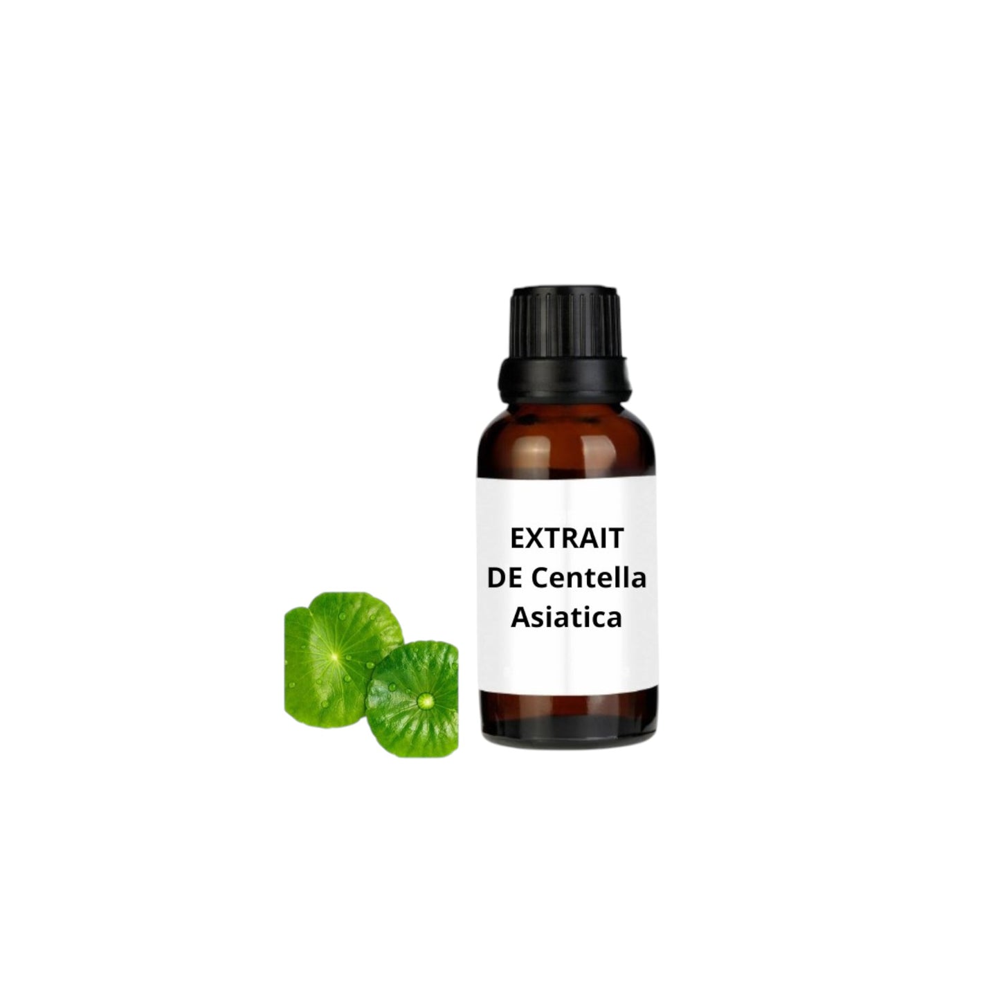 Extrait de Centella Asiatica