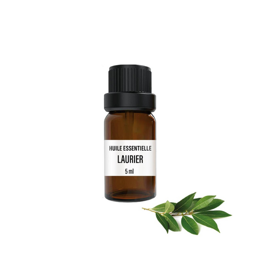 Huile Essentielle de Laurier Noble