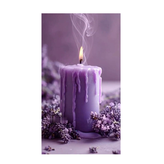 Fragrance Bougie Lavande