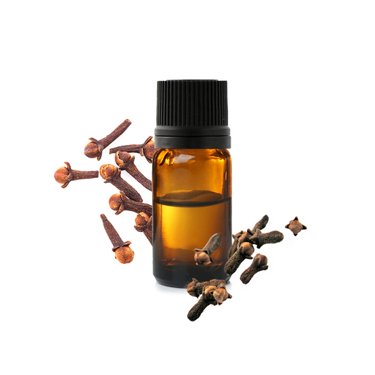 Huile essentielle de clou de girofle – BS Gros – anti-infectieuse puissante et anesthésiante naturelle, idéale pour soins bucco-dentaires et peaux à problèmes.