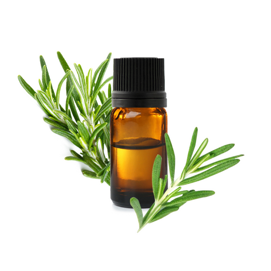 Huile Essentielle de Romarin pure et naturelle, idéale pour les soins de la peau et des cheveux, disponible chez BS Gros, fournisseur de matières premières cosmétiques.